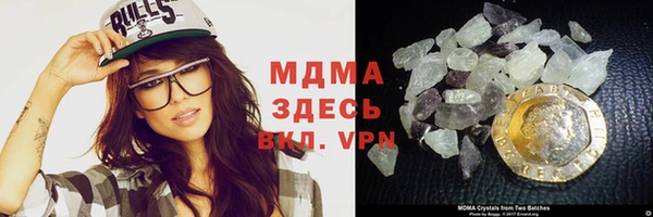 индика Новозыбков