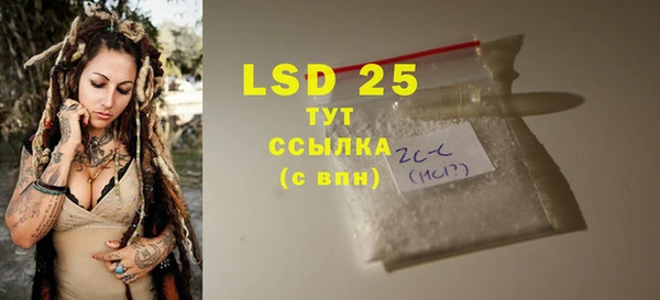 индика Новозыбков