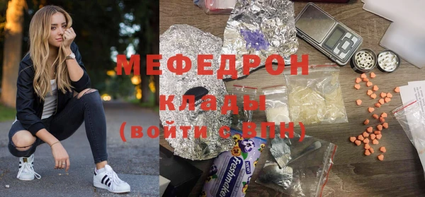 индика Новозыбков