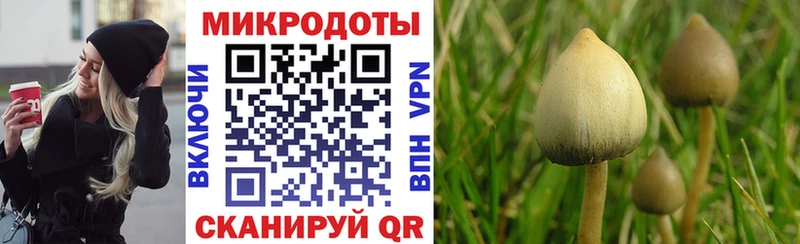 Галлюциногенные грибы мицелий  даркнет сайт  Тарко-Сале 