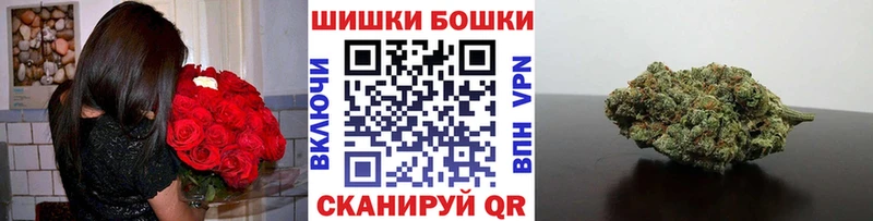 Бошки марихуана Amnesia  где найти наркотики  Тарко-Сале 